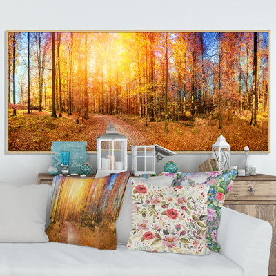 " Sunlight In Autumn Forest "