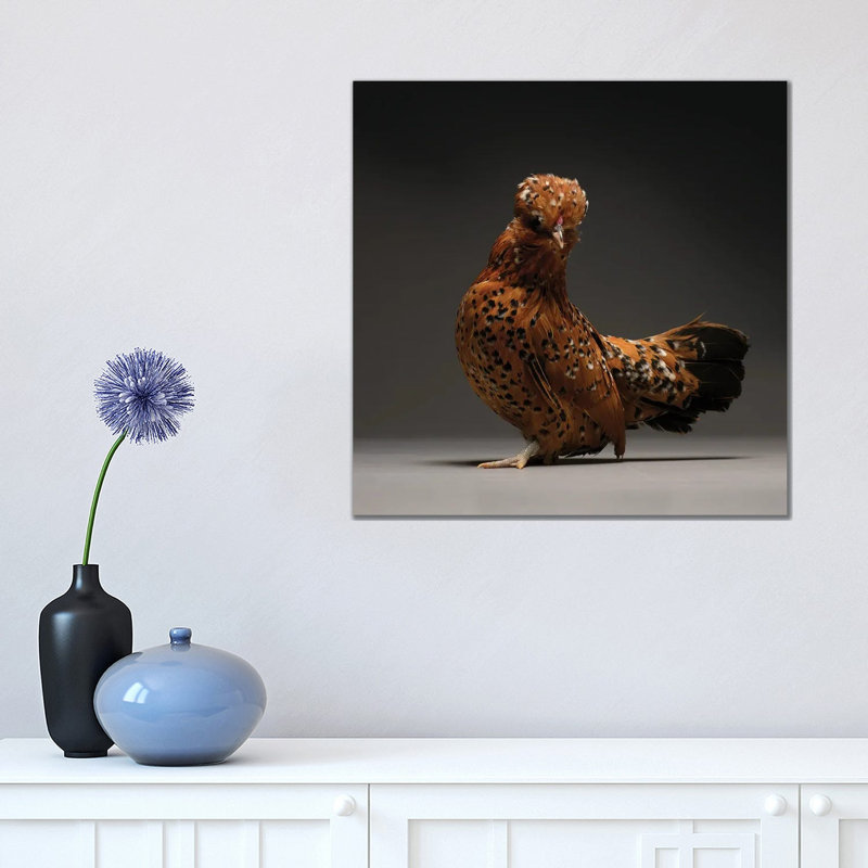 Barbu De Watermeal - Wrapped Canvas Print, 45.72 cm H x 45.72 cm W x 1.91 cm D