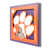 NCAA Clemson