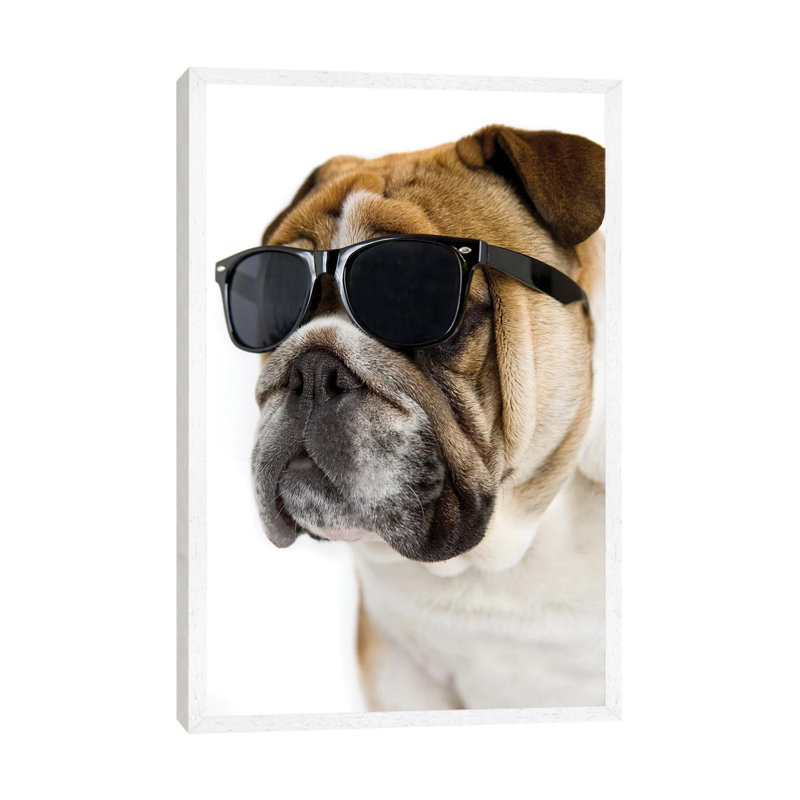 George by Rachael Hale - Print on Canvas, White Framed, 101.6 cm H x 66.04 cm W