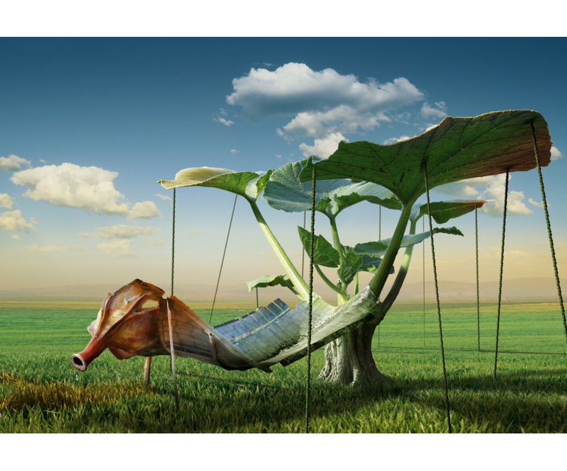 Wrapped Canvas Print, 50.8 cm H x 76.2 cm W