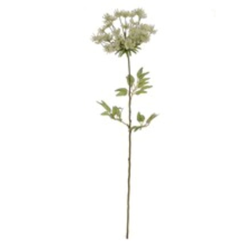 Vaporisateur de dentelle Queen Anne - 30 po - paquet de 4