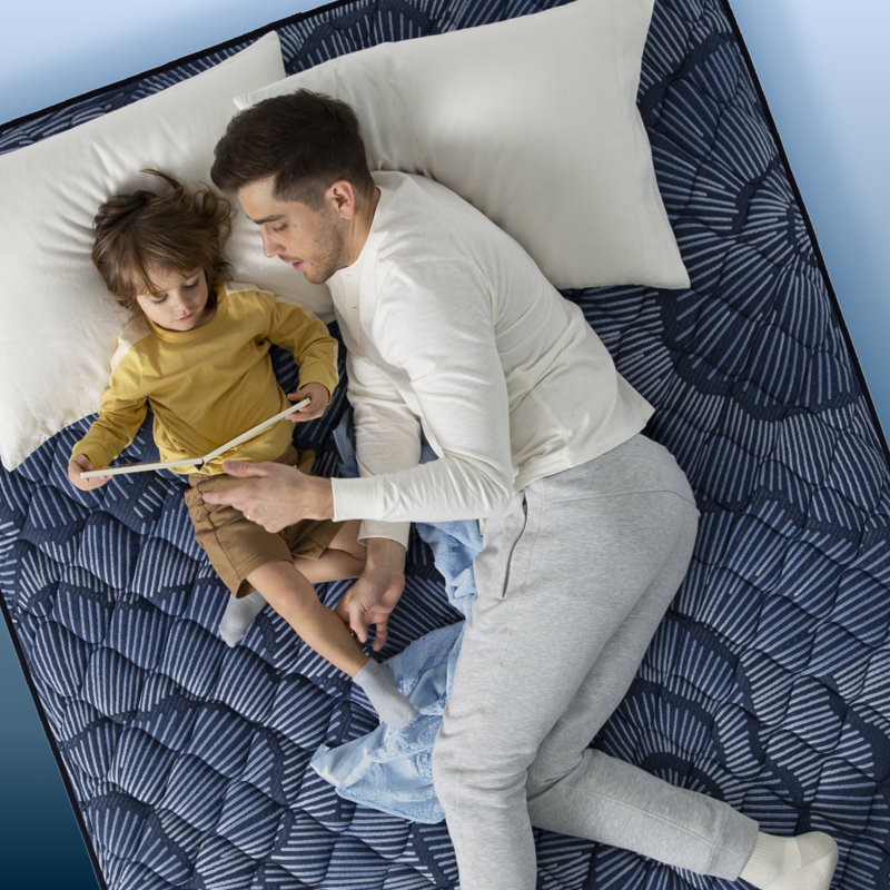 Serta Perfect Sleeper Oasis Sleep 13.25" Plush Mattress, King