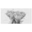 «Black and White Elephant», reproduction sur toile tendue-29496875