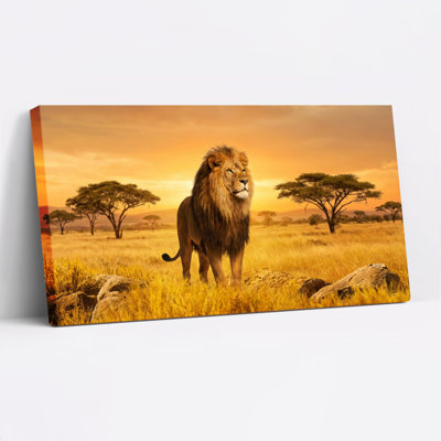 Lion In African Savannah Sunset Canvas Wrapped Wall Art Oil Painting Print Set Of 1
