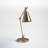 Clancy Pauline 23" Gold Table Lamp