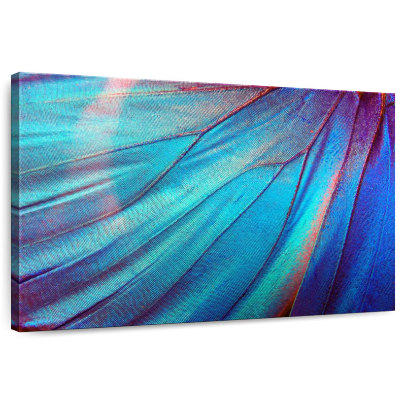 Crowle Blue Butterfly Wing, 34" H x 51" W