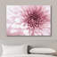 "Flower Up Flower", "Gros plan sur des fleurs de chrysanthème rose, photographie botanique florale, art moderne chic" sur toile-99544055
