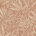 Clay