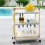 Tobias Outdoor 3- Tier Rattan and Metal Bar Cart-697499623