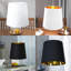 Timaeus 1 - Light Black Single Pendant