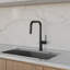 Robinet de cuisine amovible DAX