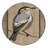 Washable Pale breasted Thrush Birds Area Rug-1918890386