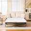 Causeuse, canapé-lit, canapé-lit avec matelas pour le salon-1113641041