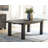 Jhoti 36 " Mango Rectangular Solid Wood Top with Solid Wood Base Dining Table