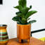 Pisa Indoor Planter-451811407-451811402