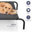 Avalyn Pet Bed