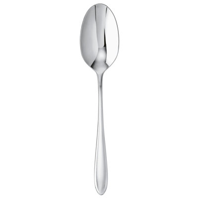 Dream Stainless Steel Serving Spoon