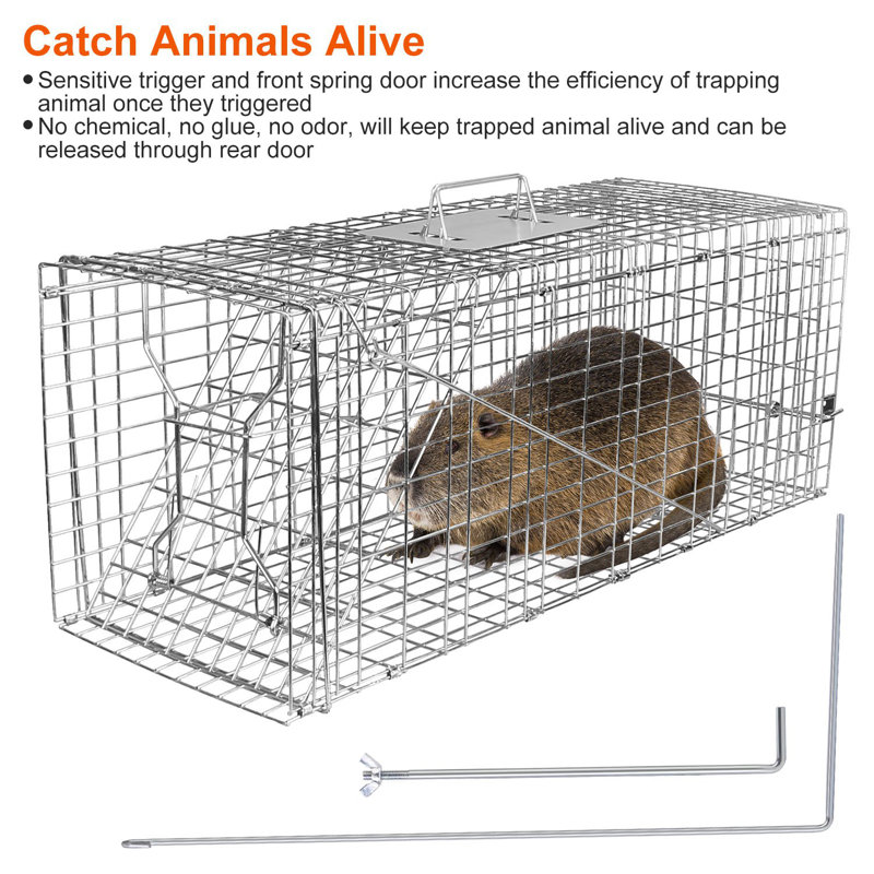 Humane Animal Trap Cage