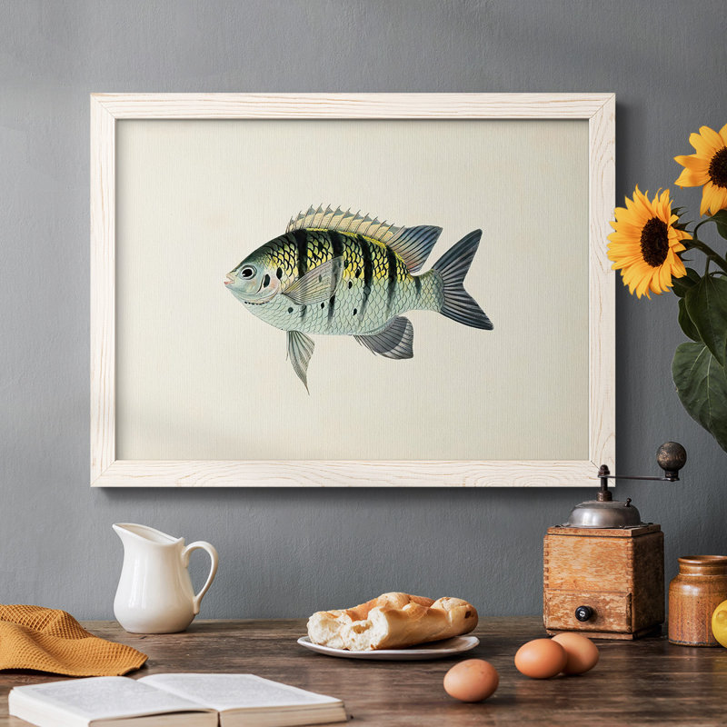 "Tropical Fish Collection VI", reproduction d'art sur toile, Blanc, H 22 po x l 32 po
