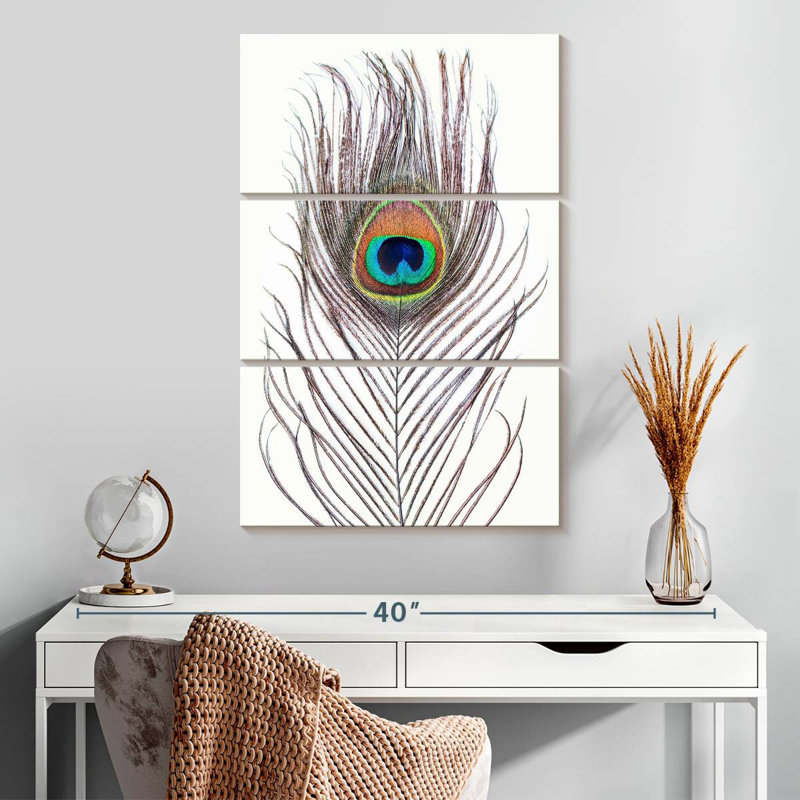 Plume de paon Kerner, H 32 po x l 20 po