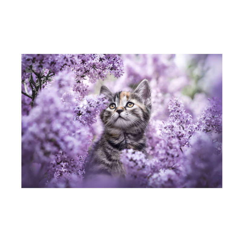 «Natalie Grosse Lilac Dreams», art sur toile, H 12 po x l 19 po