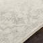 Machine Woven Beige/Black/Grey Indoor Rug-1847548486