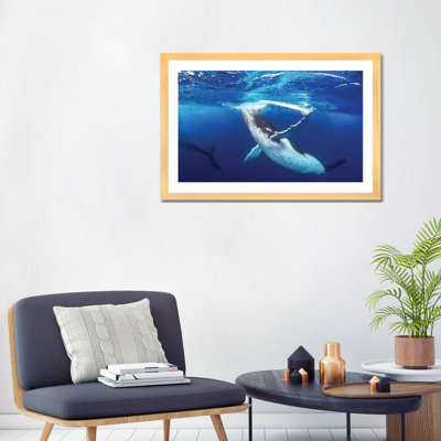 " Whale Of A Time " by Jordan Robins