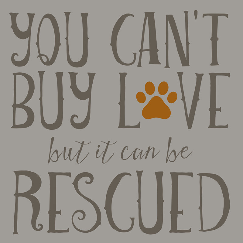 Reproduction d’art textuel « you cant buy Love but it can be sauvé » par Brandi Fitzgerald, Toile tendue