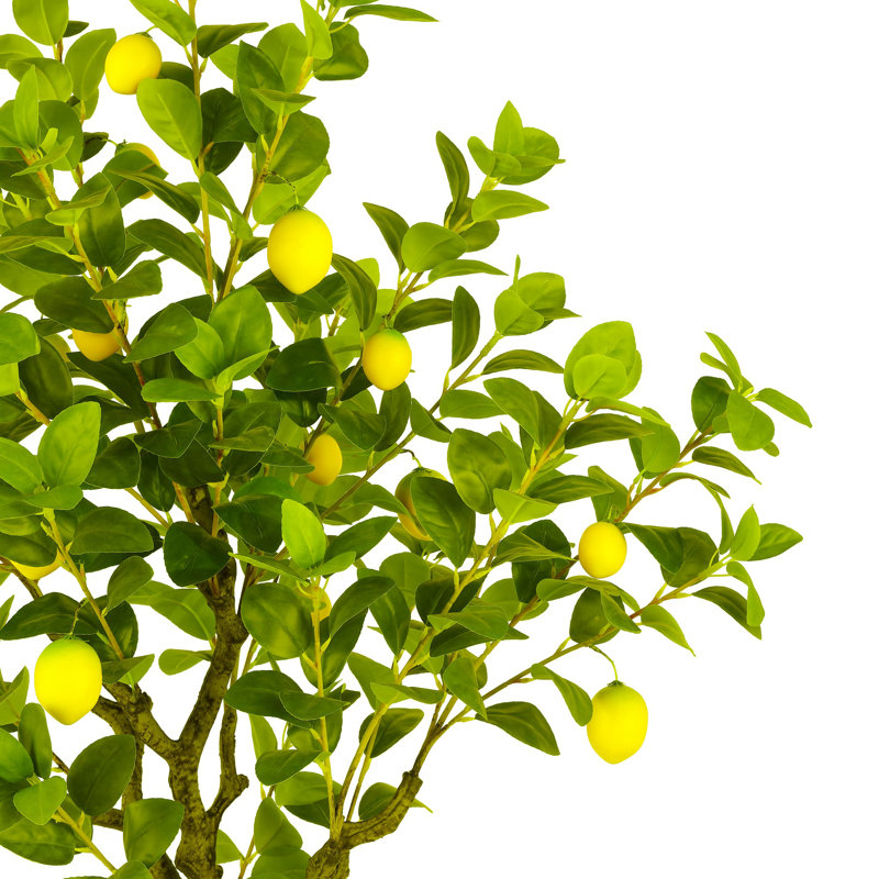 Arbre en pot faux citron 60 po