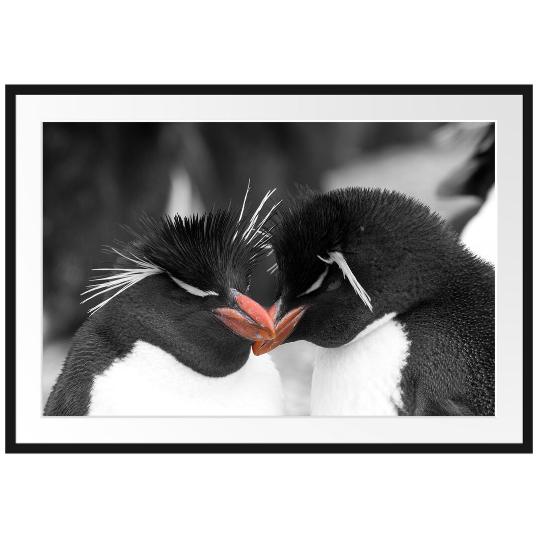 Gerahmtes Poster Pinguine kuscheln