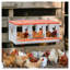 Boîte de nidification en métal à 3 compartiments pour poules - Poulailler en acier galvanisé avec conception ventilée et collection Easy Egg