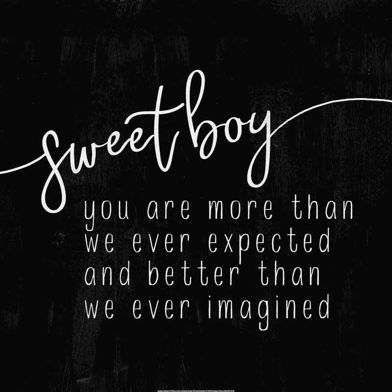 " Sweet Boy ", 30" W x 30" H  