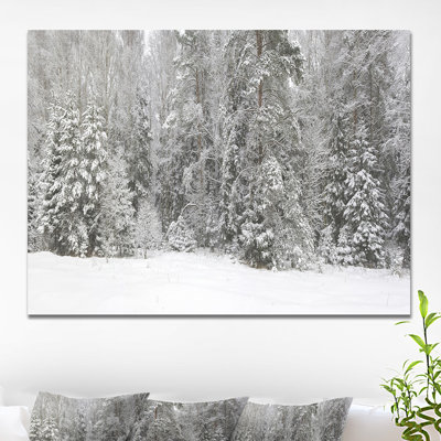 « brumey winter forest panorama », reproduction de photo sur toile tendue