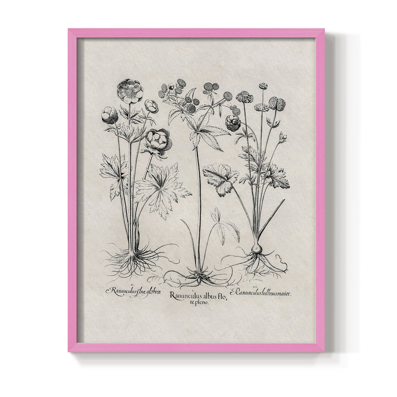 Reproduction florale rétro encadrée Cccxxv - bois massif, H 30 po x l 24 po, Rose