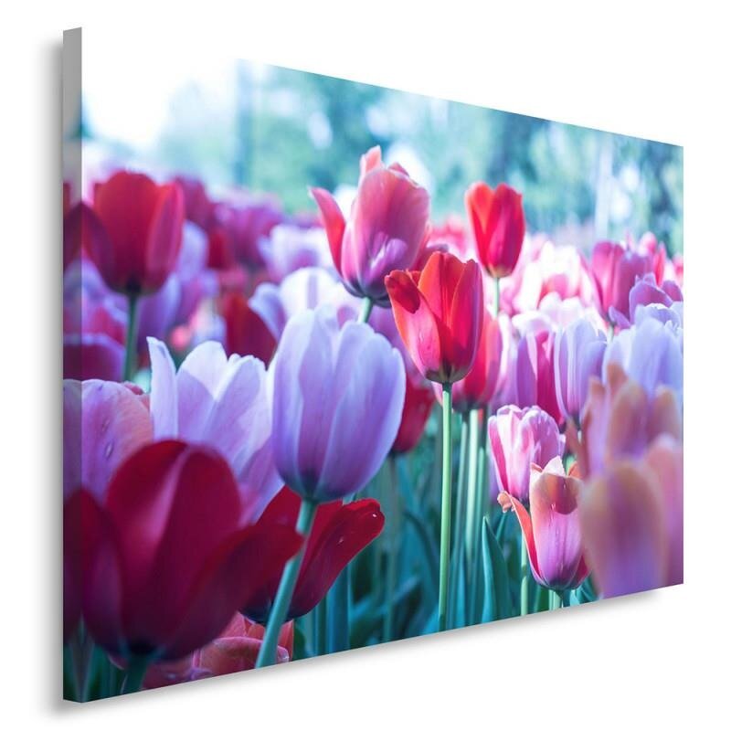 Leinwandbild Von Tulpen