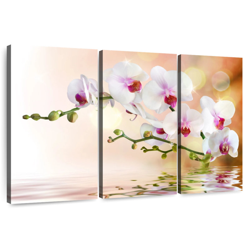 Orchidée Harnek sur l'eau, H 48 po x l 74 po
