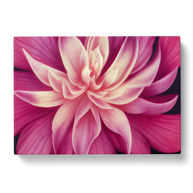 Seductive Carnation Flower - Wrapped Canvas, 50cm H x 76cm W x 3cm D