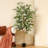 Adcock Artificial Ficus Tree in Pot with Realistic Leaves and Natural Trunk-1524888436