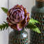Arrangement