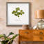 «Pressed Clover I», reproduction encadrée de qualité supérieure - prête à être accrochée-1872557684-1872557677-1872520561