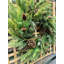Couronne en polyester 24 po