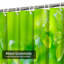 Rideau de douche Green Leaf-1691246081