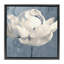 Cadre flottant rose doré bleu, design by Sophie 6-504713597-504713596