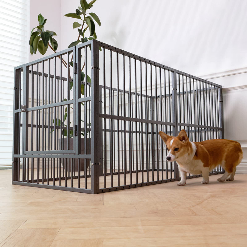 Enclos pour animaux, gris