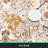 Dequisha Oriental Indoor Rug