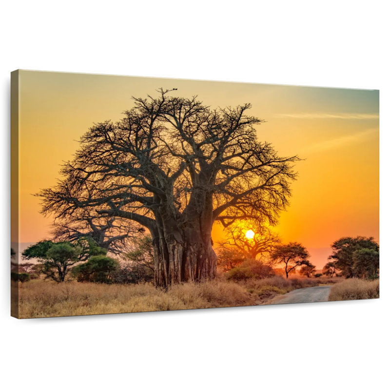 Kavia Tarangire Baobab Tree, 16" H x 24" W