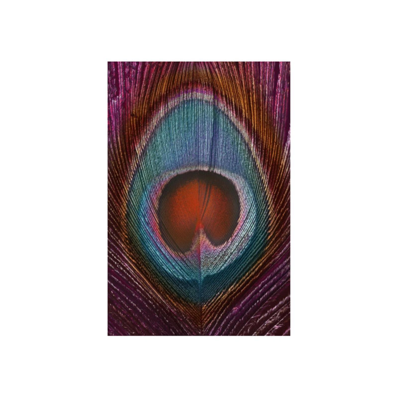 Magenta Feather II par Mari Urasawa - impression, H 36 po x l 24 po x P 1,5 po, Couche de verre
