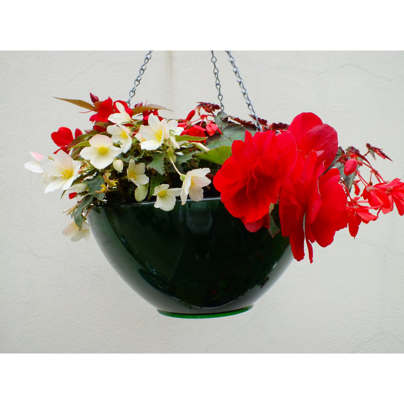 Hanging Planter