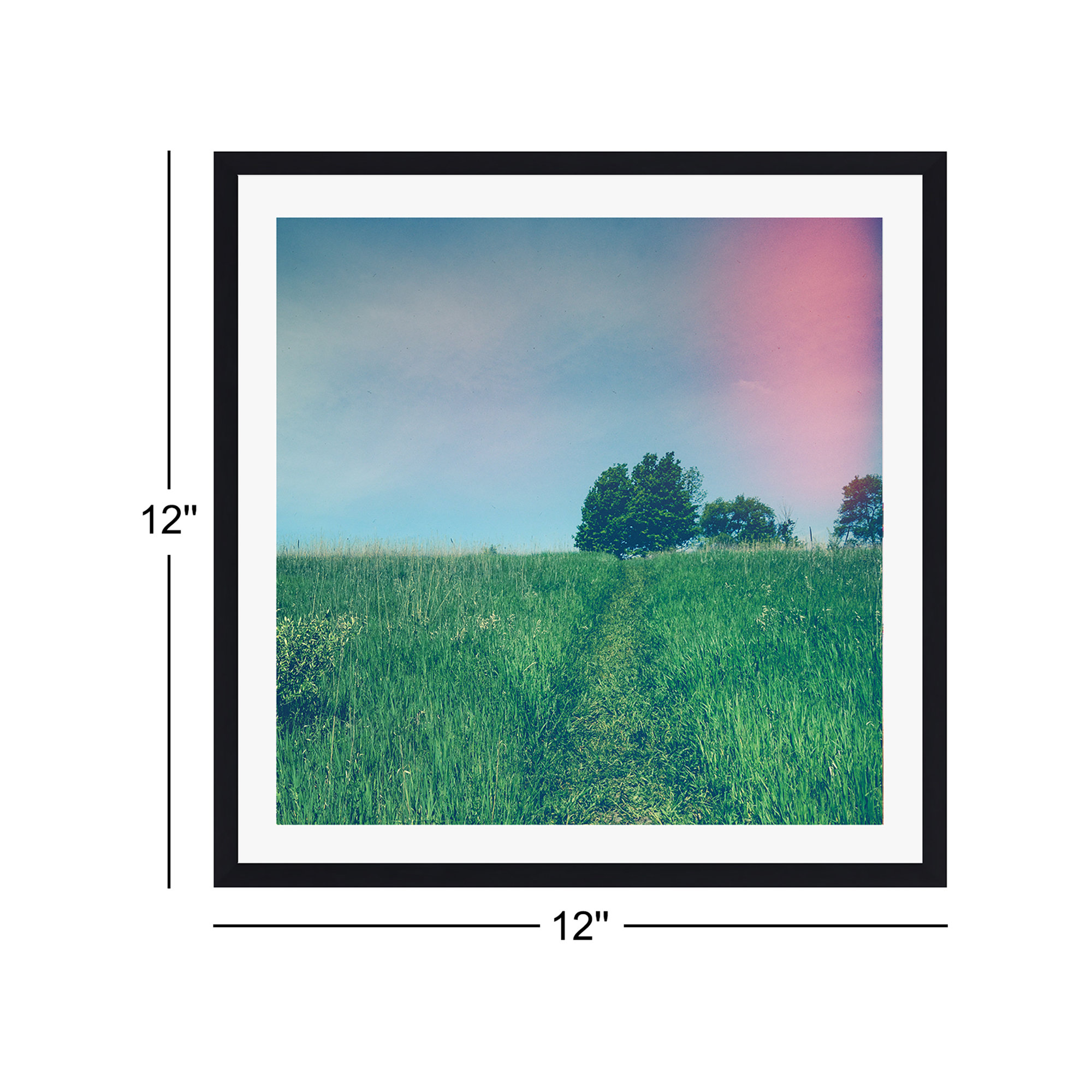 Summer Solstice by Olivia St Claire, Yes, 12" W x 12" H, Black Single Picture Framed